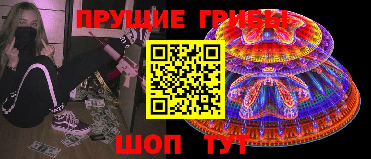 Соль-Илецк  Галлюциногенные грибы Psilocybine cubensis  Вход с VPN 