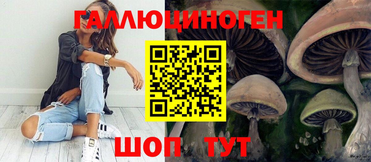 Галлюциногенные грибы GOLDEN TEACHER Соль-Илецк