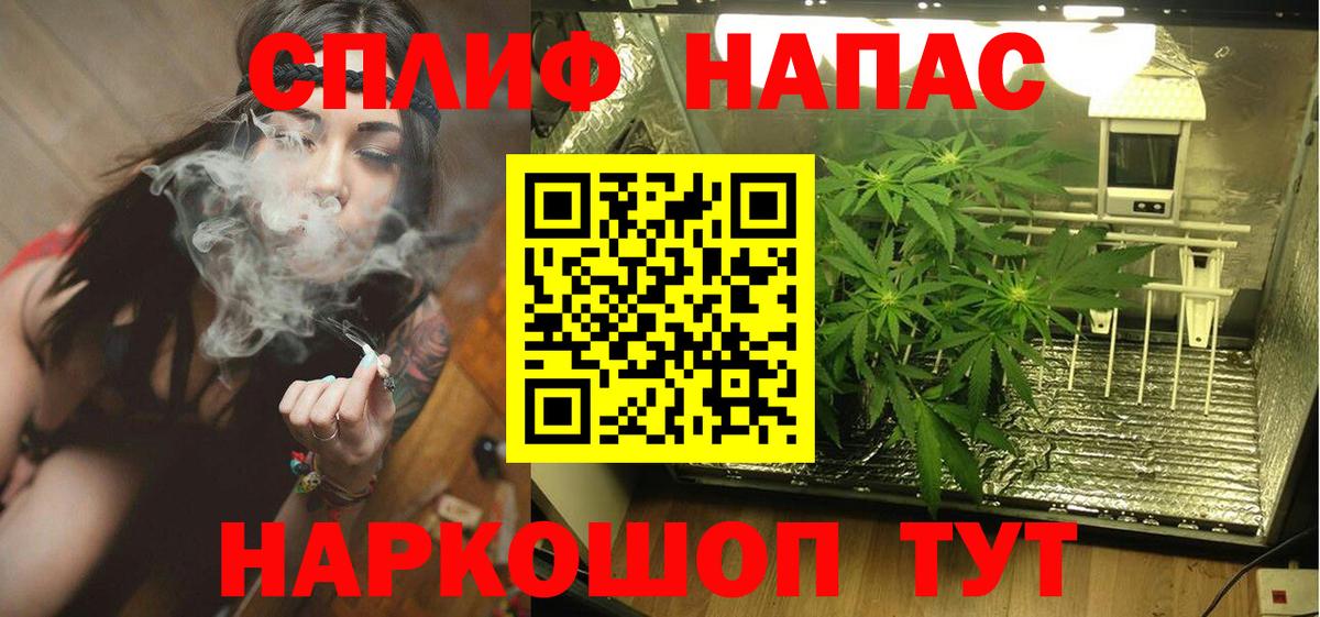 Канабис конопля Соль-Илецк
